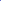 Royal Blue Turtle Neck