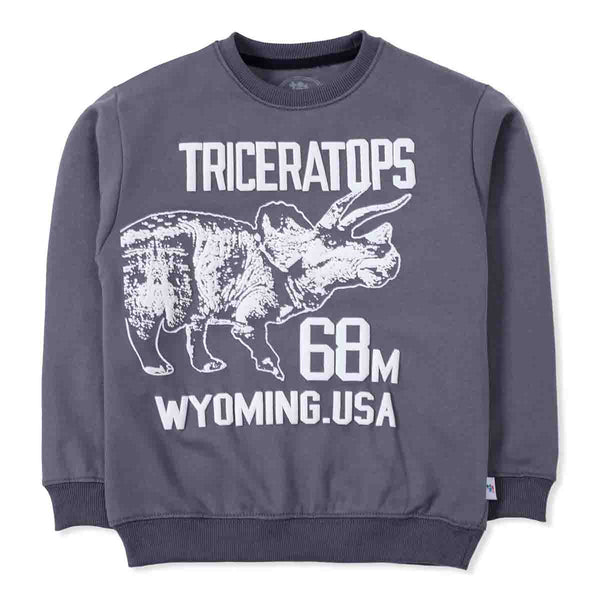 Triceratops Sweatshirt