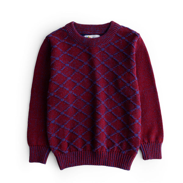 Maroon Blue Boys Sweater