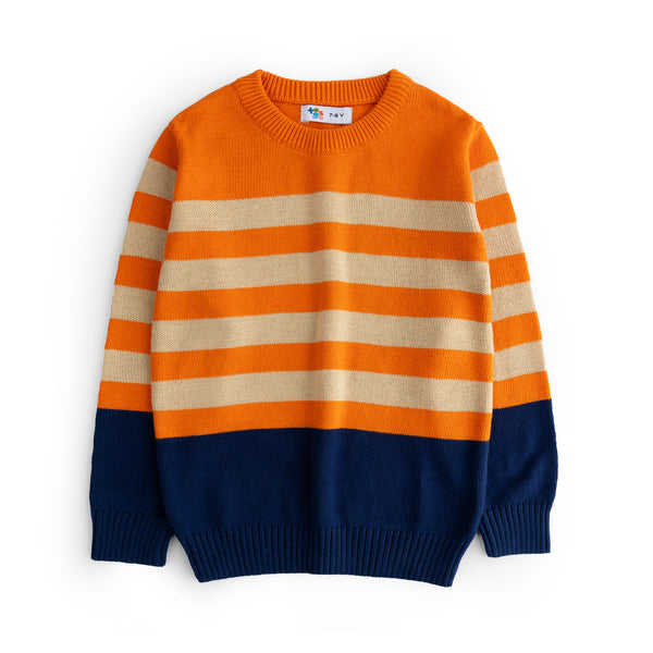 Boys Multi Color Sweater