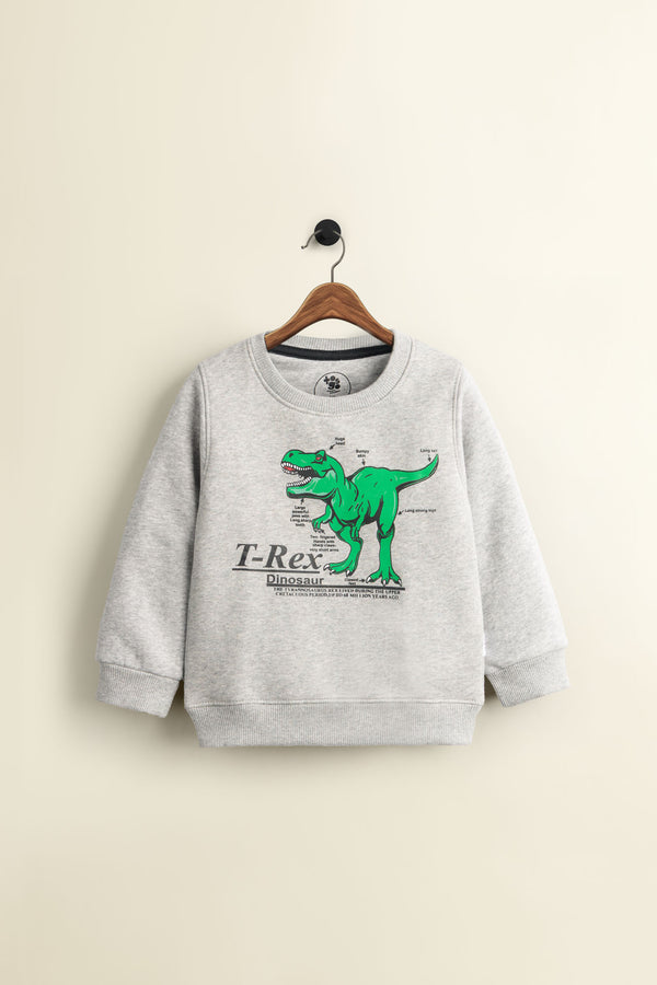 T-Rex Grey Fleece Sweatshirt